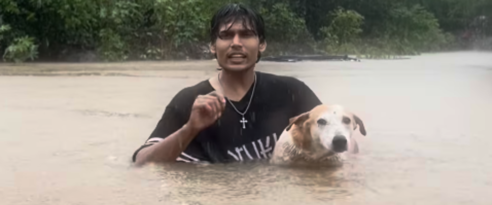 hero image